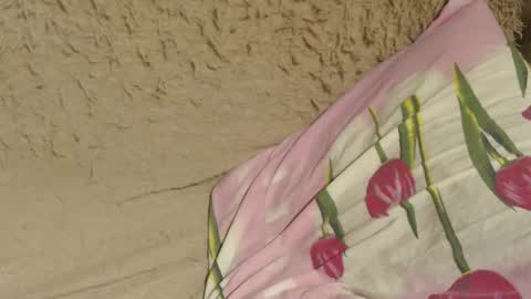 Snapshot of candylady13 chatting on December 7, 2024, 9:11 pm say meow and send tips online show from December 7, 2024, 9:11 pm