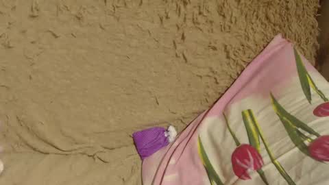 Snapshot of candylady13 chatting on December 19, 2024, 2:34 am say meow and send tips online show from December 19, 2024, 2:34 am