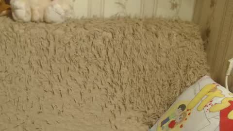 Snapshot of candylady13 chatting on January 19, 2025, 3:53 pm say meow and send tips online show from January 19, 2025, 3:53 pm