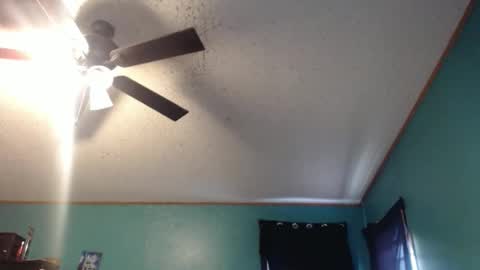 candyshop2024 online show from December 17, 2025, 12:55 pm