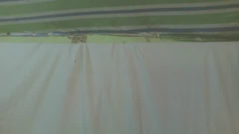 carinesexy69 online show from October 2, 2025, 11:39 am