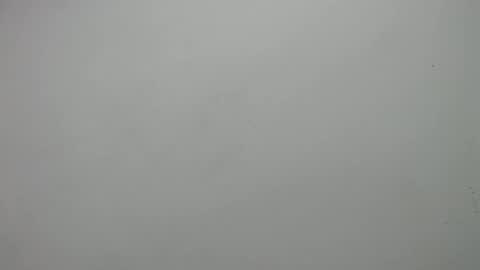 Snapshot of carla_perverted chatting on February 19, 2025, 3:05 pm carla online show from February 19, 2025, 3:05 pm