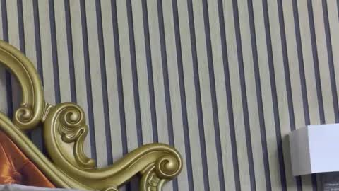 carolinahart online show from May 14, 2026, 3:41 pm