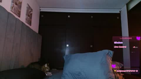 Carolinne online show from February 27, 2025, 5:58 pm