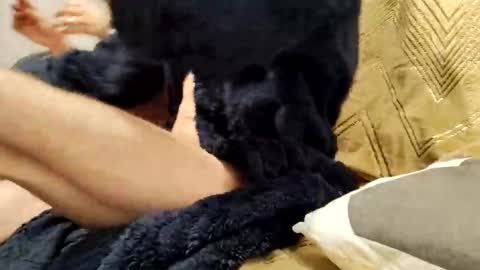 Snapshot of casal_301 chatting on February 23, 2025, 10:20 pm casal_301 online show from February 23, 2025, 10:20 pm