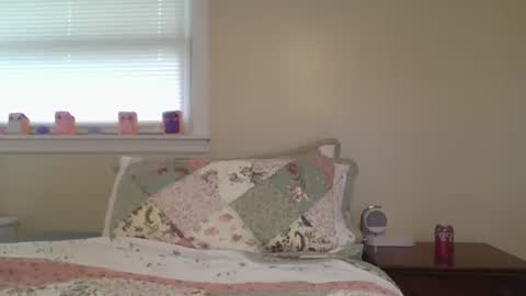 Snapshot of caseygirl6879 chatting on May 28, 2026, 3:09 pm Casey Lakes online show from May 28, 2026, 3:09 pm