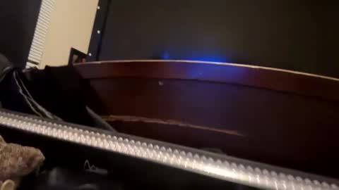 casidy1 online show from January 8, 2025, 9:10 am