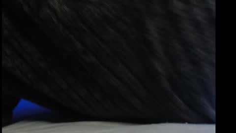 casidy1 online show from March 6, 2025, 6:59 pm