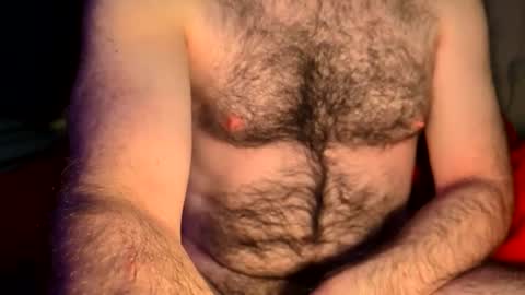 hairyokieotter online show from April 22, 2026, 9:33 am