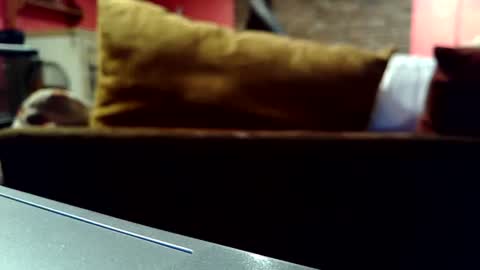 Snapshot of castration40 chatting on October 17, 2025, 8:39 am castration40 online show from October 17, 2025, 8:39 am