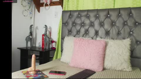 Snapshot of catalina_ada chatting on January 13, 2025, 7:31 pm catalina ada online show from January 13, 2025, 7:31 pm
