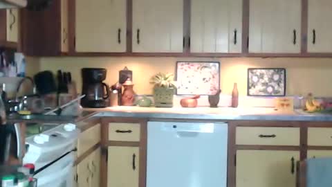 Snapshot of catalystic chatting on December 31, 2024, 11:20 am CATALYSTIC online show from December 31, 2024, 11:20 am