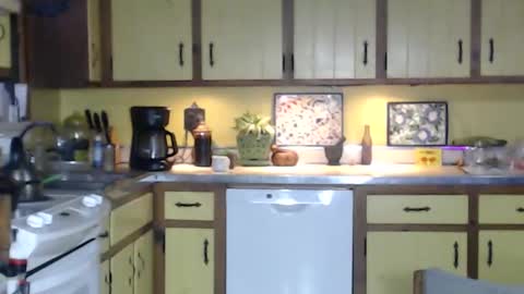 Snapshot of catalystic chatting on February 2, 2025, 12:24 pm CATALYSTIC online show from February 2, 2025, 12:24 pm