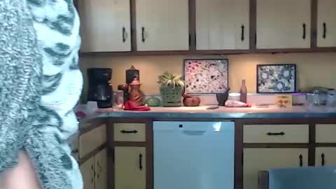 Snapshot of catalystic chatting on February 4, 2025, 2:32 pm CATALYSTIC online show from February 4, 2025, 2:32 pm