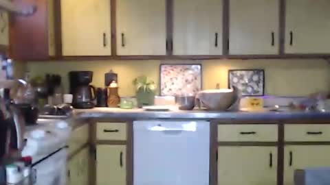 Snapshot of catalystic chatting on February 16, 2025, 3:16 pm CATALYSTIC online show from February 16, 2025, 3:16 pm