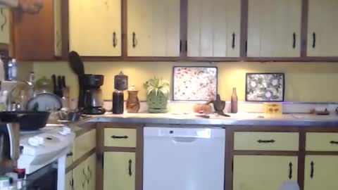 Snapshot of catalystic chatting on February 20, 2025, 10:05 am CATALYSTIC online show from February 20, 2025, 10:05 am