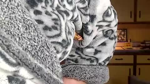 Snapshot of catalystic chatting on March 10, 2025, 9:53 am CATALYSTIC online show from March 10, 2025, 9:53 am