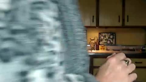 Snapshot of catalystic chatting on September 8, 2025, 10:31 pm CATALYSTIC online show from September 8, 2025, 10:31 pm