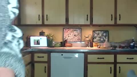 Snapshot of catalystic chatting on September 14, 2025, 2:49 pm CATALYSTIC online show from September 14, 2025, 2:49 pm