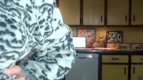 Snapshot of catalystic chatting on October 25, 2025, 12:56 pm CATALYSTIC online show from October 25, 2025, 12:56 pm