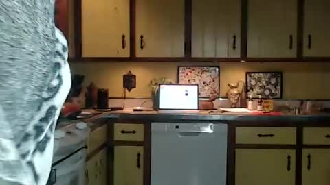 Snapshot of catalystic chatting on October 26, 2025, 11:27 am CATALYSTIC online show from October 26, 2025, 11:27 am