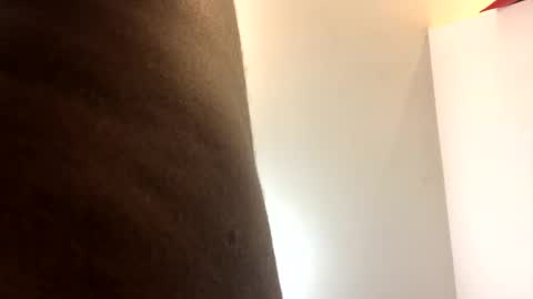 catpixel online show from September 17, 2025, 10:28 am