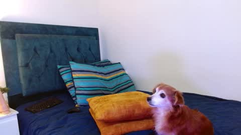 Snapshot of cedrixx10 chatting on October 25, 2025, 1:02 am Cedrixx10 online show from October 25, 2025, 1:02 am