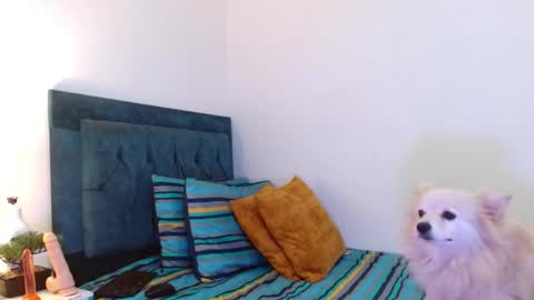 Snapshot of cedrixx10 chatting on November 11, 2025, 10:32 pm Cedrixx10 online show from November 11, 2025, 10:32 pm