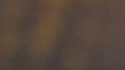 Snapshot of celestepink_jl chatting on November 10, 2025, 12:42 am celestepink_jl online show from November 10, 2025, 12:42 am