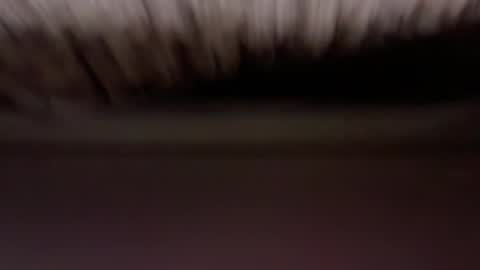 cenobitfor online show from March 5, 2026, 12:01 pm