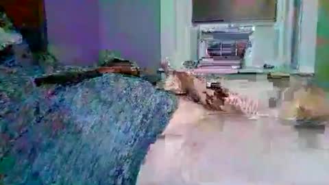 Snapshot of cervixpainter27 chatting on November 3, 2025, 1:40 am cervixpainter27 online show from November 3, 2025, 1:40 am