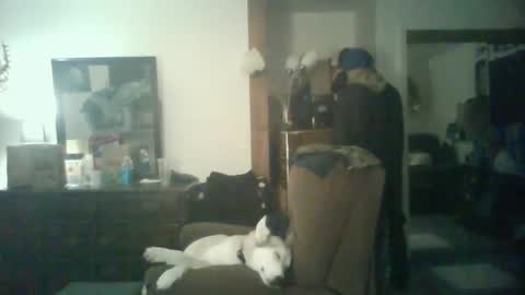 GigaChad online show from October 29, 2025, 5:42 am