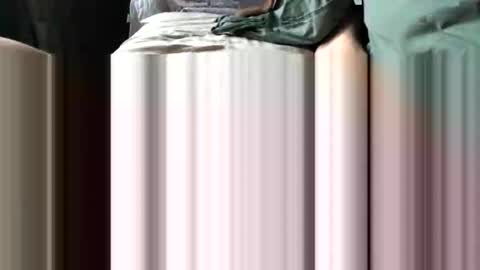 challe online show from December 3, 2025, 9:51 am