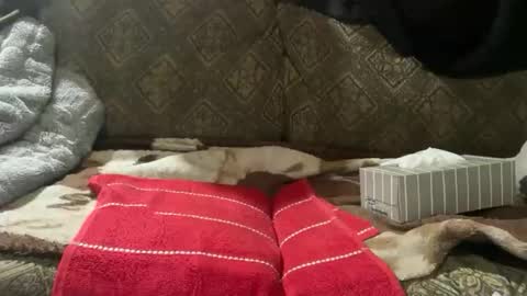 Snapshot of charlesbr019 chatting on November 16, 2025, 4:56 pm charlesbr019 online show from November 16, 2025, 4:56 pm