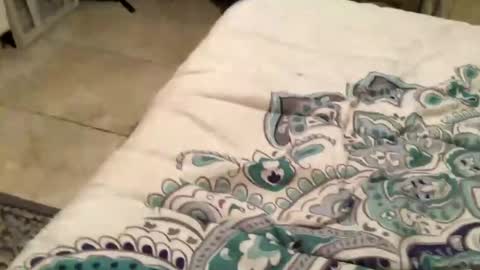 charliebroun online show from February 18, 2025, 6:15 am