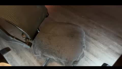 Snapshot of charlietango_live chatting on November 12, 2025, 2:01 am CharlieTango Live online show from November 12, 2025, 2:01 am