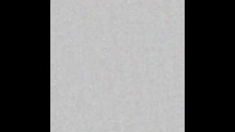 Charlotte online show from October 9, 2025, 11:41 am