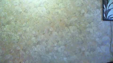 Snapshot of charming__seili chatting on February 15, 2025, 5:41 am Charming Seili online show from February 15, 2025, 5:41 am