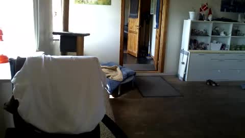 chefben666 online show from April 11, 2026, 9:24 am