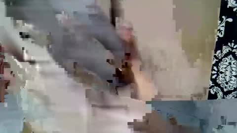 Keve Meddy online show from February 23, 2026, 6:38 pm