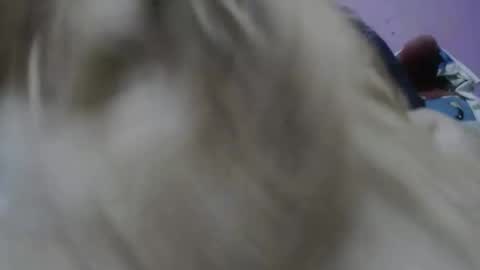 Cheila online show from November 17, 2025, 2:23 pm