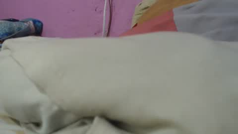 Cheila online show from June 29, 2026, 1:33 pm