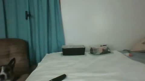 Snapshot of chevybear69 chatting on June 11, 2026, 1:16 am Jade and Thomas online show from June 11, 2026, 1:16 am