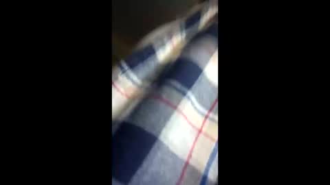 chi579822 online show from March 14, 2026, 4:29 am