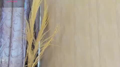 Snapshot of chloe5__ chatting on January 17, 2026, 12:54 pm C H L O E online show from January 17, 2026, 12:54 pm