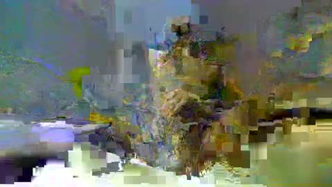 Snapshot of chuck354139 chatting on February 13, 2025, 3:14 pm chuck354139 online show from February 13, 2025, 3:14 pm