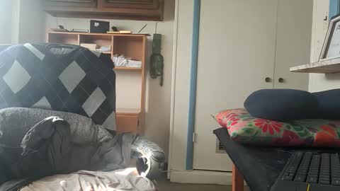 chuck7891 online show from October 22, 2025, 2:50 pm