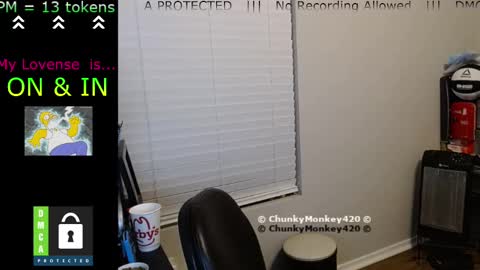 Spencer  Smokey Bear online show from February 25, 2025, 5:41 am