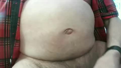 Circus Bear online show from April 20, 2026, 2:31 pm