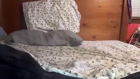 cjallday1424 online show from March 3, 2025, 3:41 am